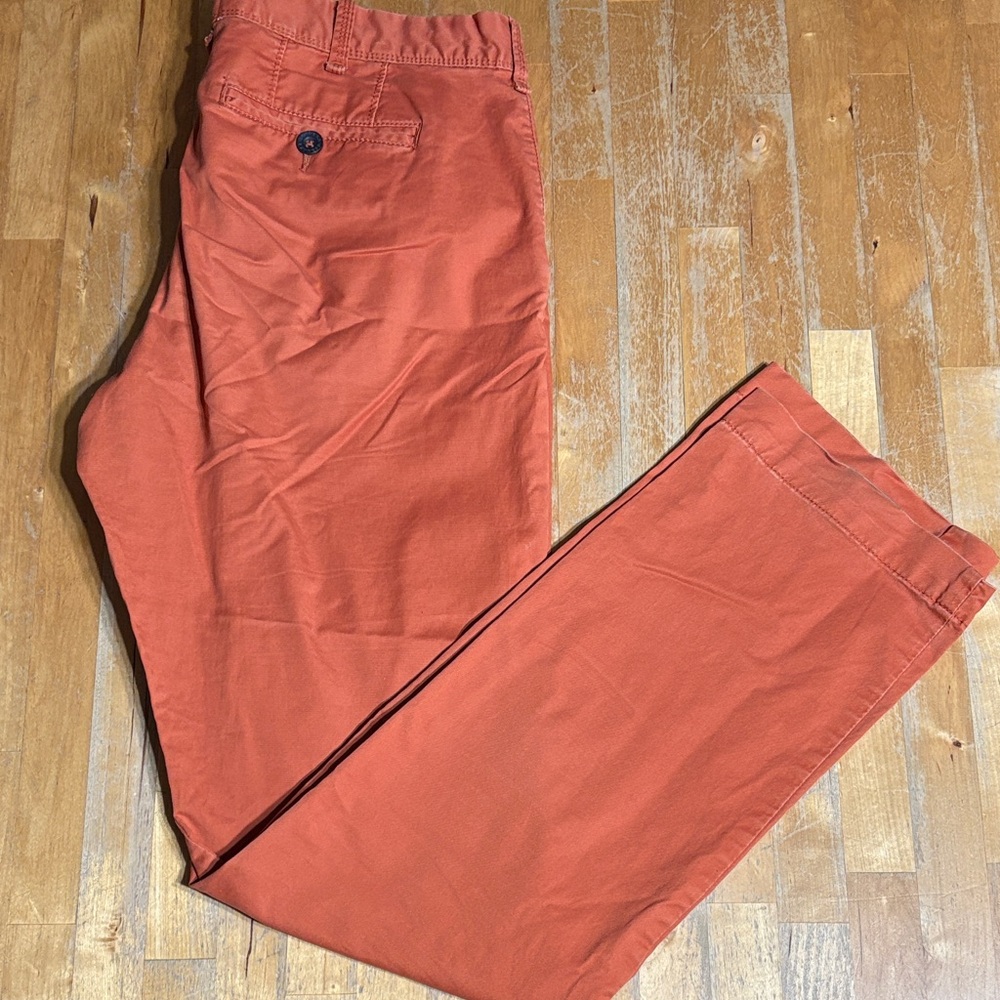 Express Photographer Men's Rust Chinos